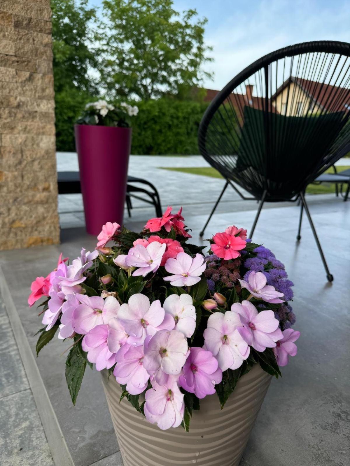 Vila Diamond Lux&Spa Sovata Exterior foto